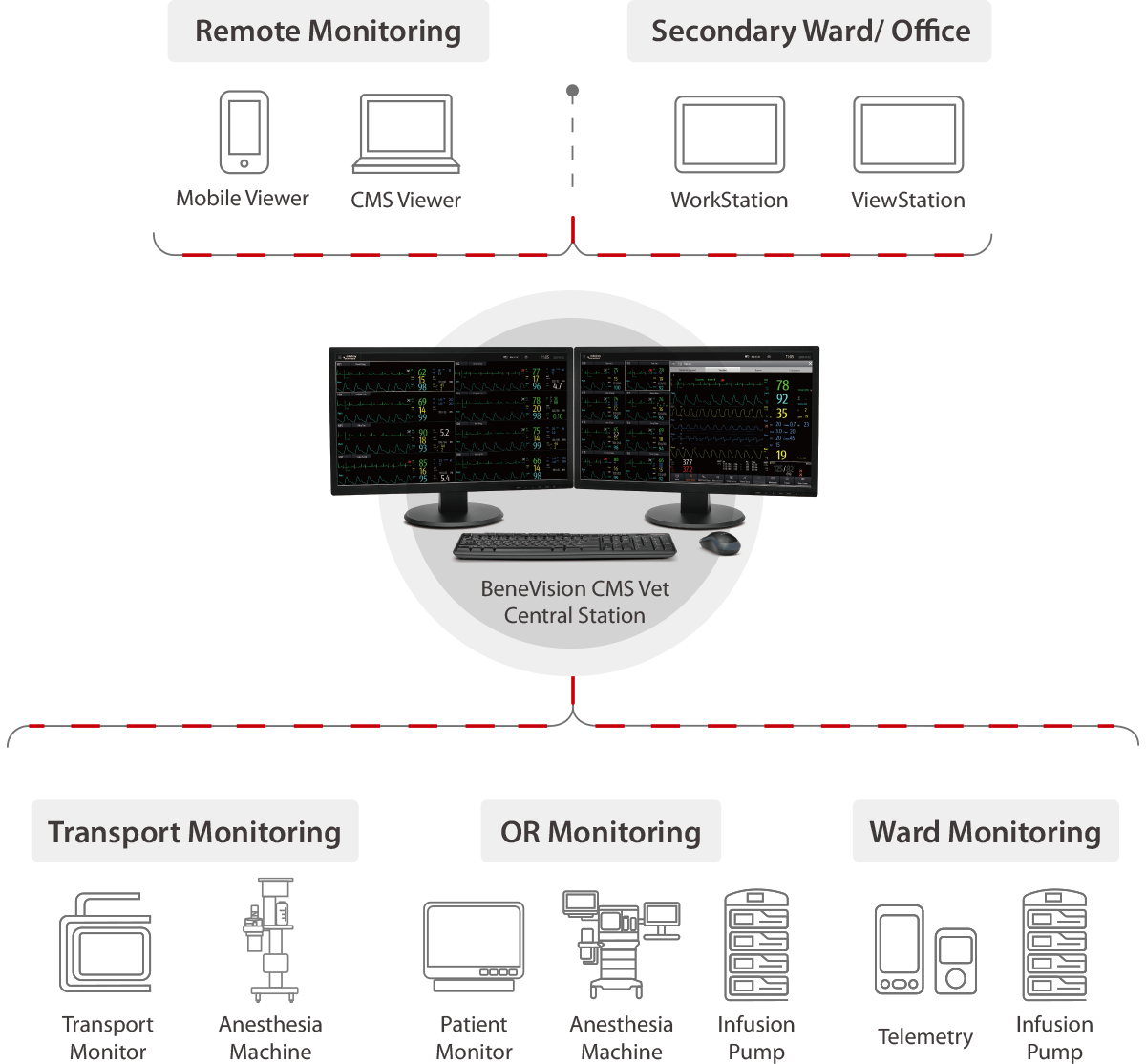 CMS Vet Software
